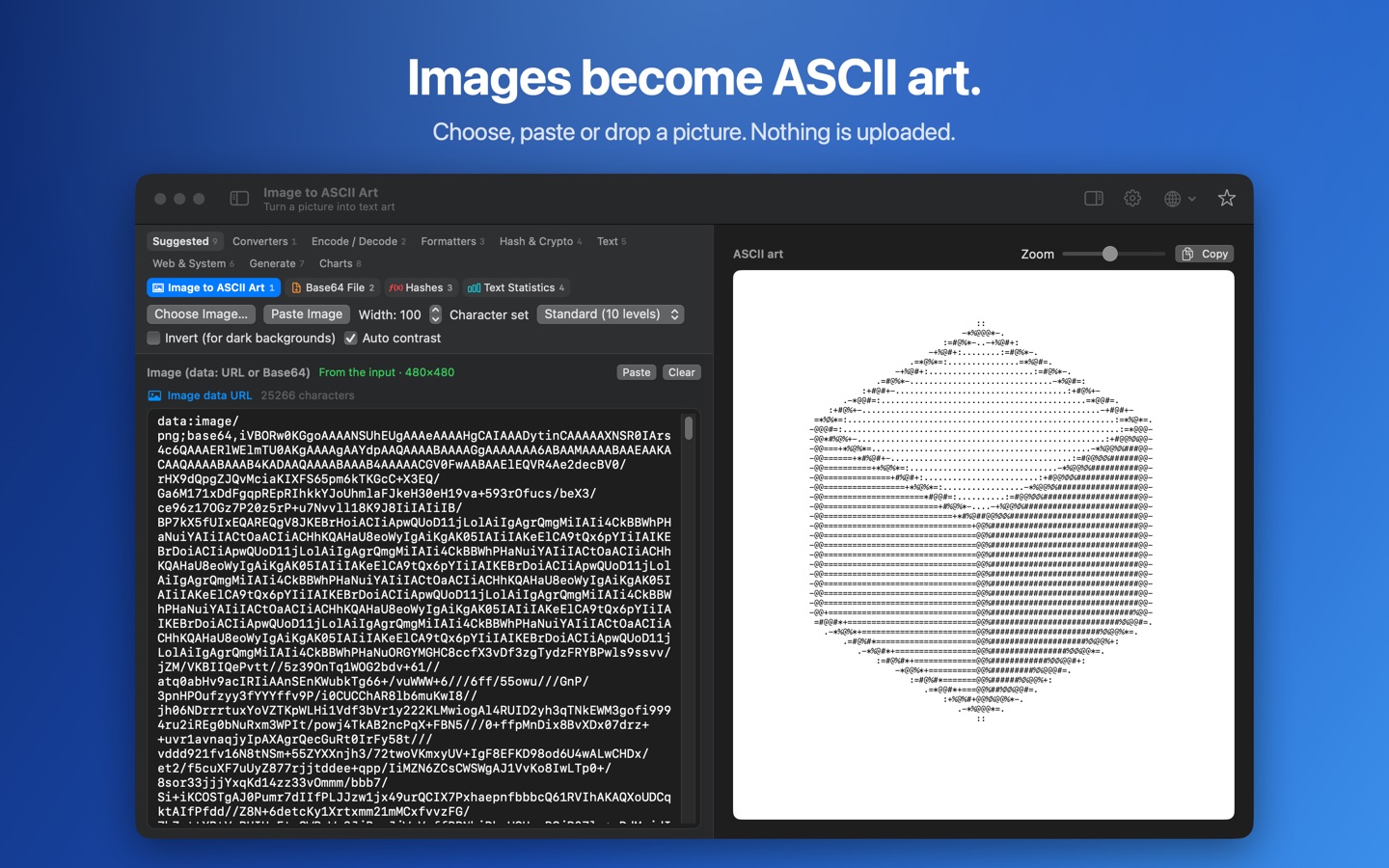 An image converted to ASCII art.